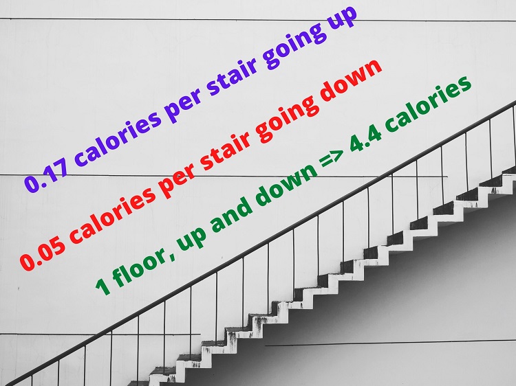 How Many Calories Do You Burn With Climbing Stairs Online Calculator